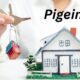 Pigeimmo